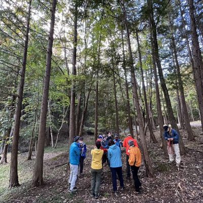 裏山で・・・