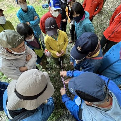 ツエルトの張り綱は・・・