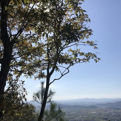 記事タイトル	パーソナル山行「箕作山（372ｍ）・太郎坊山（350ｍ）」
