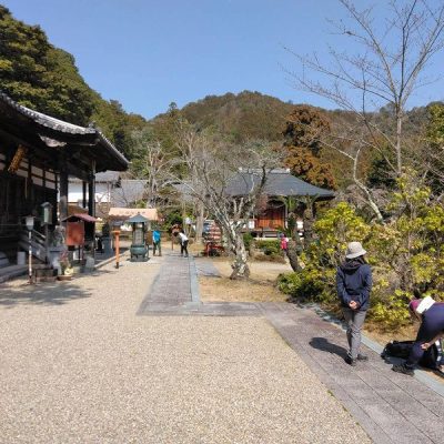 2024三上山を臨む