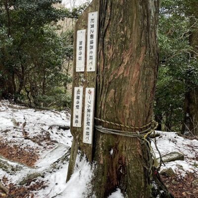 202503パーソナル合同山行３