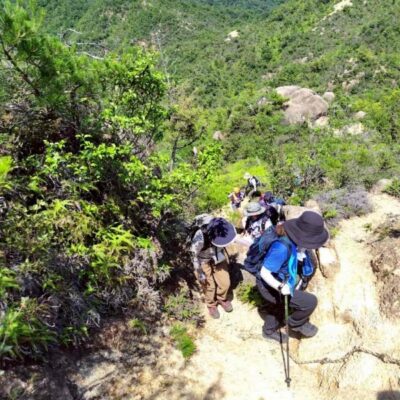 パーソナル山行「三上山」の様子２