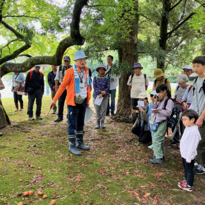 令和7年度 秋の自然観察会 ~京都御苑のきのこ~