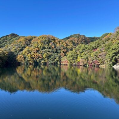 1764382530144_20251129111544