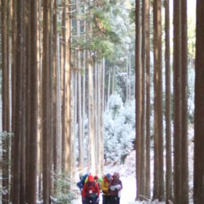 登山学校2025年度活動報告（第９コース）