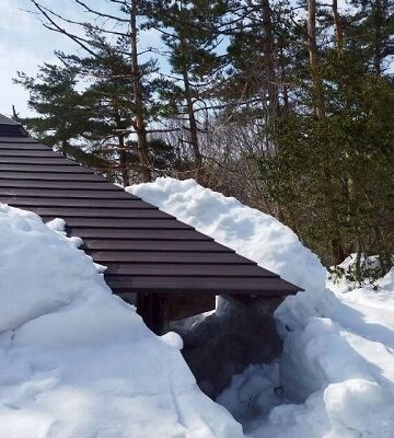 3ブナの木平の東屋