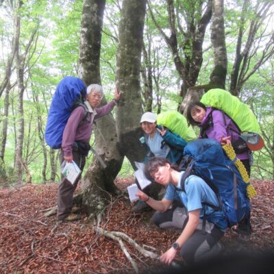 ピーク803ｍにて