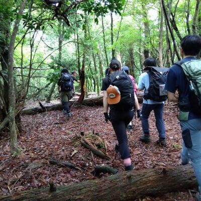 京都北山・杉阪口～半国高山～岩谷峠～縁坂峠～岩屋山～六体地蔵～大森リゾート～雲月坂～滝又ノ滝～細野口
