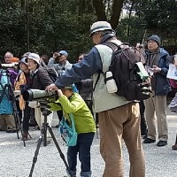 20倍フィールドスコープで観察